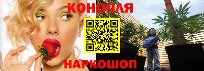 гидропоника Будённовск
