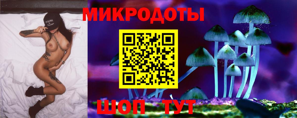 Псилоцибиновые грибы Psilocybine cubensis Нарьян-Мар